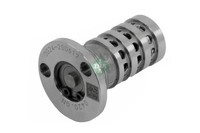 Schaeffler INA 427 0025 10 Zentralventil, Nockenwellenverstellung FüR Audi Seat