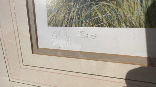 Steve Townsend Limited Edition 18/675 Signed Framed Print ‘Pip’ Border Collie - Picture 9 of 18