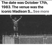 WWWF Oct 17th, 1983, Ticket Stub Jimmy Snuka Jumps off top of Steel cage WWE WWF