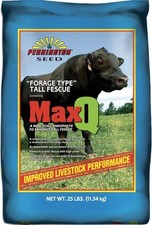 Pennington MaxQ Tall Fescue (Jesup) semi di erba - 25 libbre.