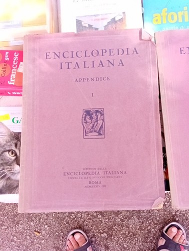 Treccani Enciclopedia Italiana Appendice 1-2-3-4 (3 Volumi) - Foto 3 di 18