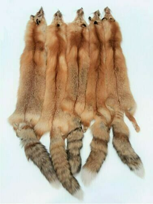 Tanned Canada Red Fox Winter “Heavy Fur” XL Pelt, Hide, Medium