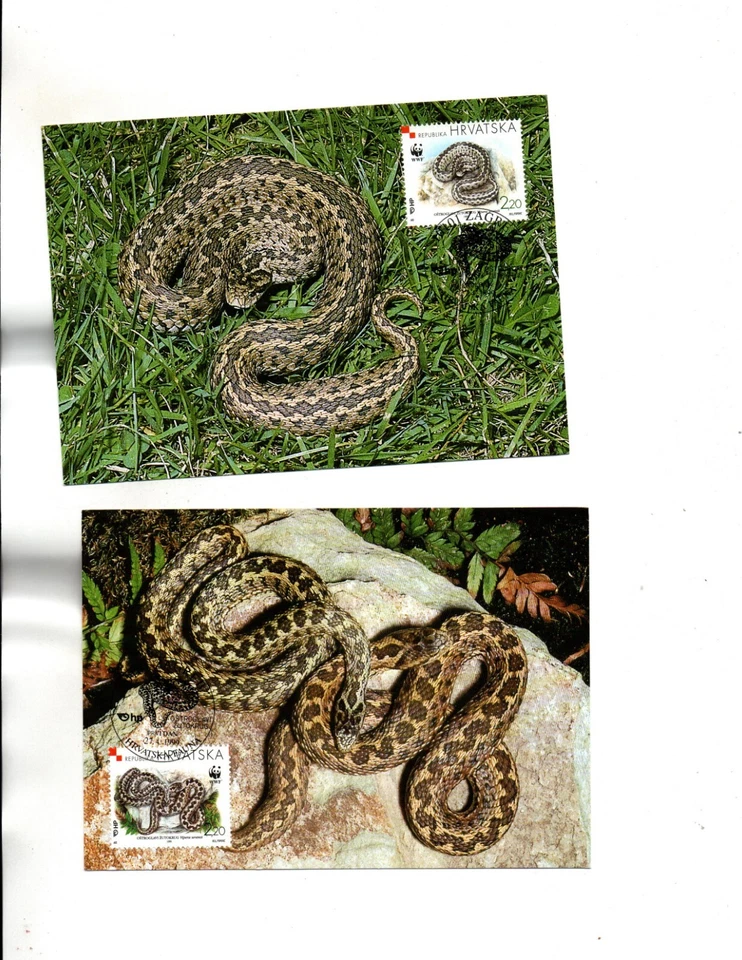 Croatia FDC Sc#391 set of 4 MAXI CARDS snakes WWF - Image 2 of 3