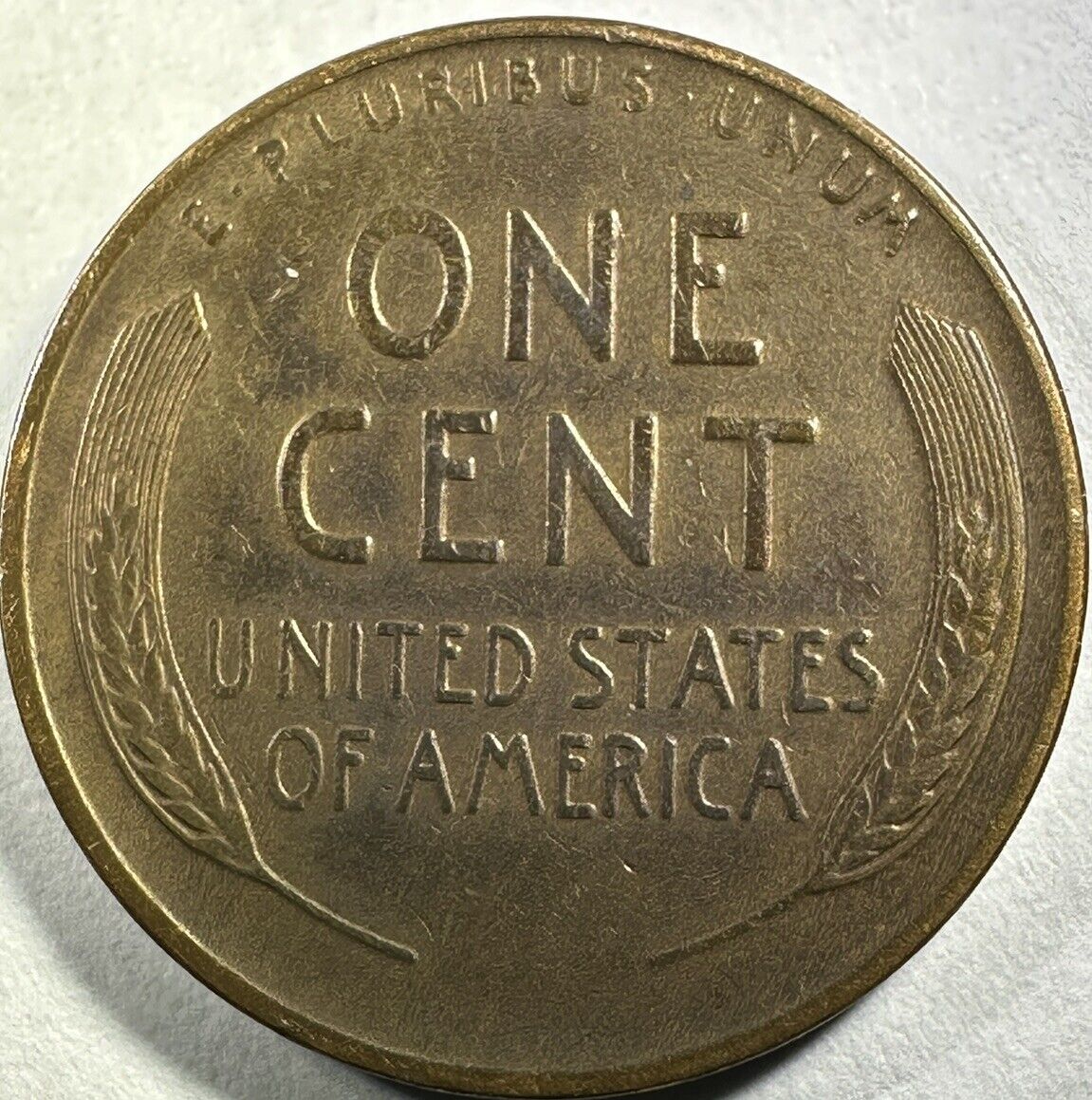 Picture 1 of 15