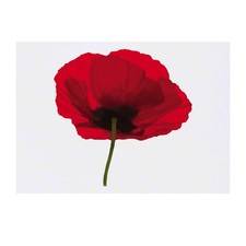 'Poppy' Temporary Tattoos / Transfers TO00029337 