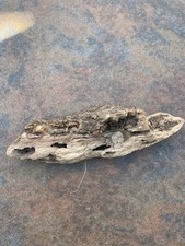 Natural Driftwood for Plants Terrarium Taxidermy Art Projects