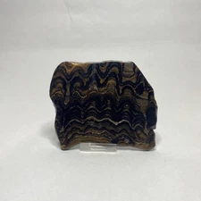 Greysonia Stromatolite Polished Slice Freeform Specimen Display Piece - Bolivia