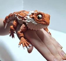 Bearded Dragon Lizard Articulated Figure 3D Printed  Collectable Multi Color