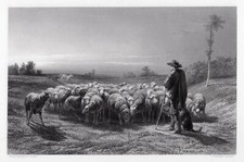 Awesome 1800s ROSA BONHEUR Engraving "Shepherd with his Flock" FRAMED SIGNED COA