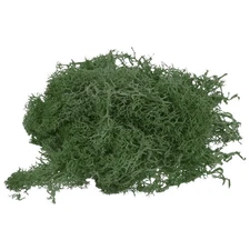 1.8 OZ Fake Moss Preserved Reindeer Moss Artificial Moss Lichen Teal