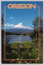 Mt Hood Trillium Lake Photo Molly Kohnstamm OR Oregon Postcard