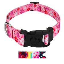 Country Brook Petz® Deluxe Dog Collar - Affection Collection