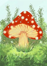 5D Diamond Painting Kits for Adults Beginners, Item Q4772 Mushroom art