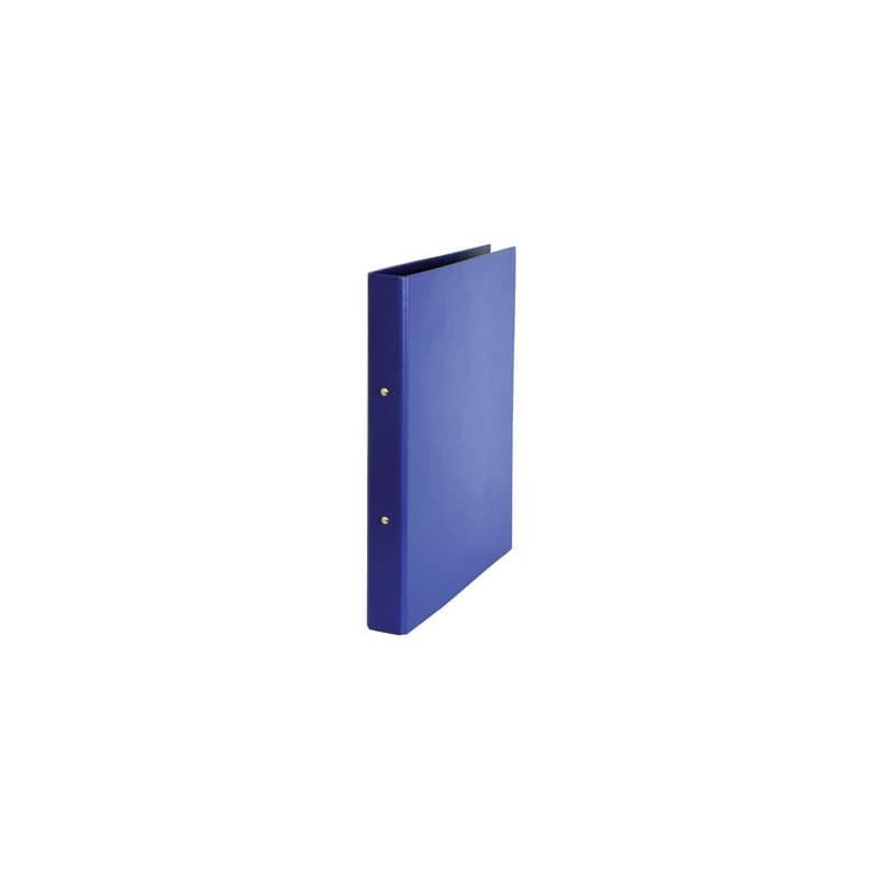 Raccoglitore Esselte Daily 2 anelli R diametro 25 mm - 21x29,7 cm dorso 3,5 cm b