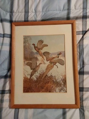 Vintage 1917 Lynn Bogue Hunt Ring Necked Pheasant DuPont Print 