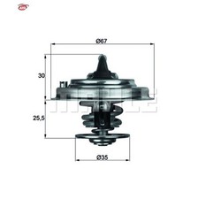 Thermostat Audi 60