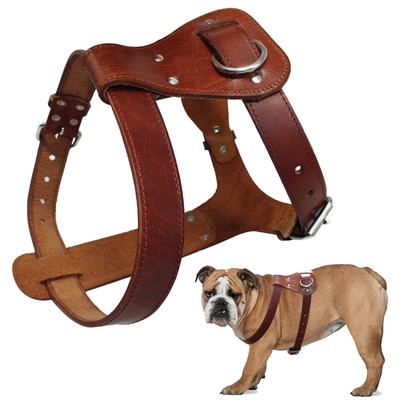 thick dog harness