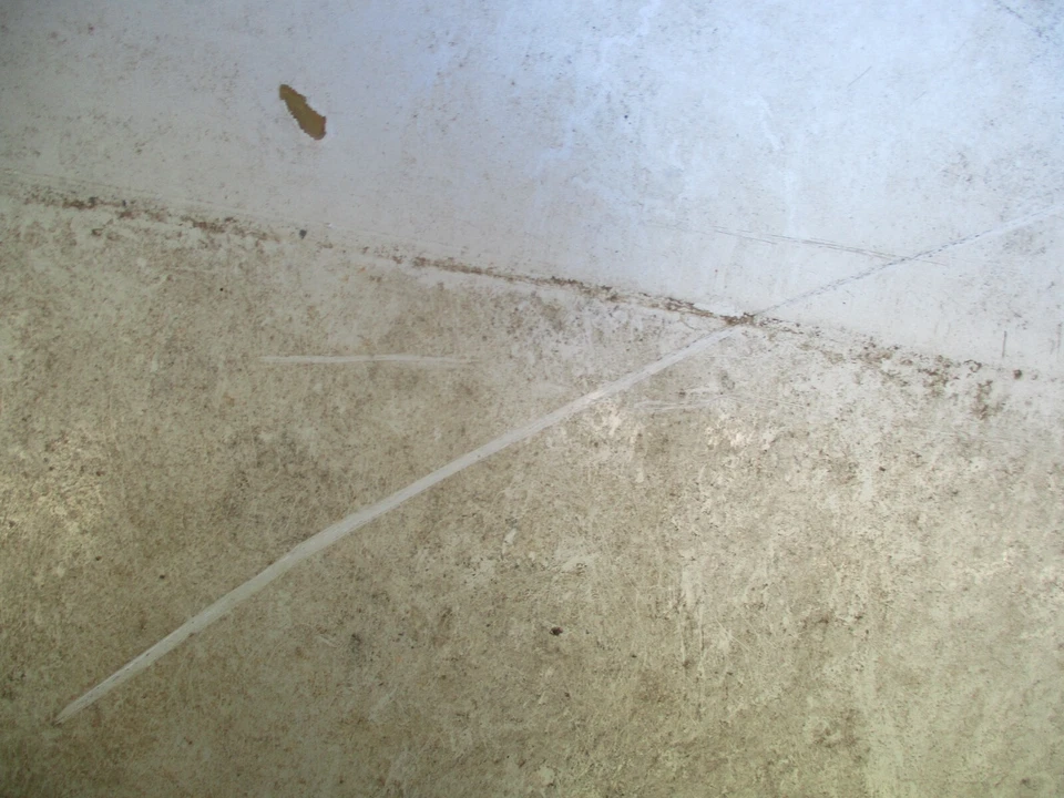 2005 2006 2007 2008 2009 2010 2011 TOYOTA TACOMA КАПОТ ПАНЕЛИ OEM - Изображение 2 из 4