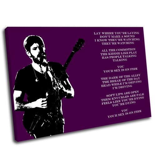 Kings Of Leon Leinwand Wandbild Kunstdruck gerahmtes Bild QUALITÄT 1 - Bild 14 von 21
