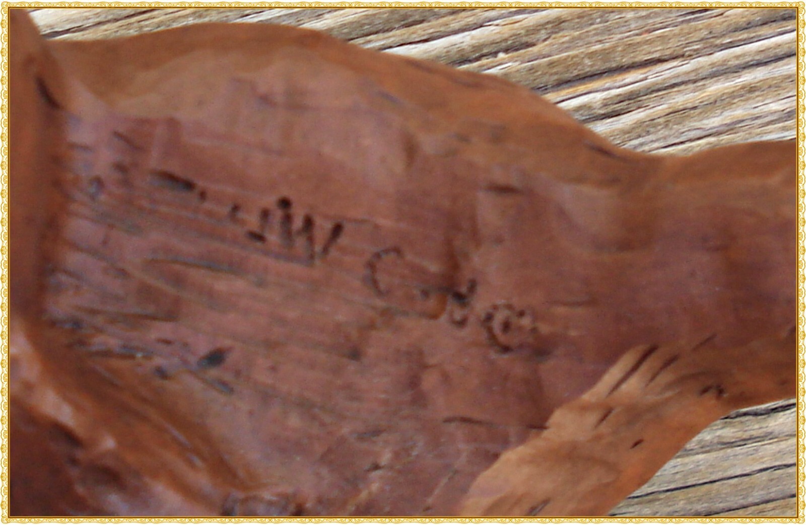 Picture 6 of 9