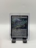MTG, It of the Horrid Swarm $3 ORDER MIN 6 NM Innistrad Remastered Regular