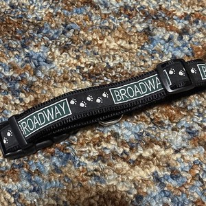 Broadway Dog Collar Size Medium Inch Broadway Themed Adjustable