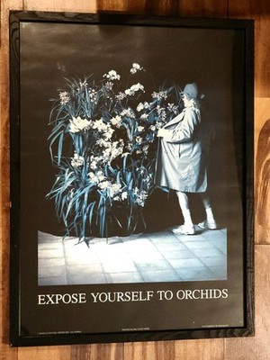 Vtg ''Expose Yourself To Orchids'' Art Poster For Baron's Orchids Morro Bay Ca