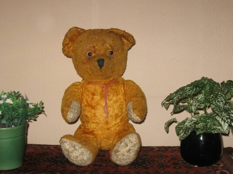 靴 uncle teddy bear  Rossendale 28983__1_grande.jpg?v=1747607417