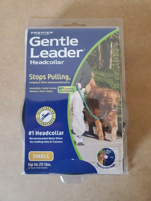 gentle leader headcollar
