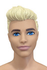 2016 Mattel Barbie Fashionista blonde Ken Doll in beach patriotic flag swimsuit — photo 3