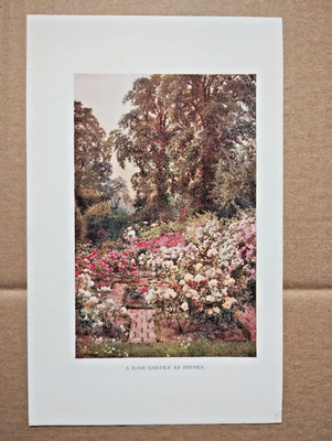 Ein Rosengarten bei Pinner - antiker Druck - 1923