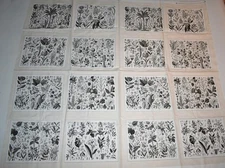 Andover Fabrics Cotton Fabric Panel Floral Botanical Quilt Blocks HTF OOP