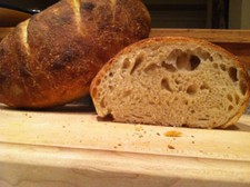 SOURDOUGH STARTER yeast 100 yrs california gold rush country EASY recipes Larry