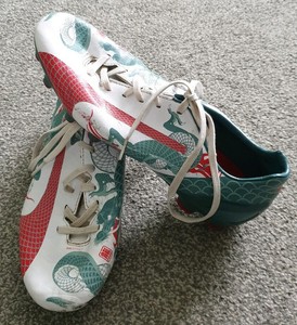 puma evospeed dragon