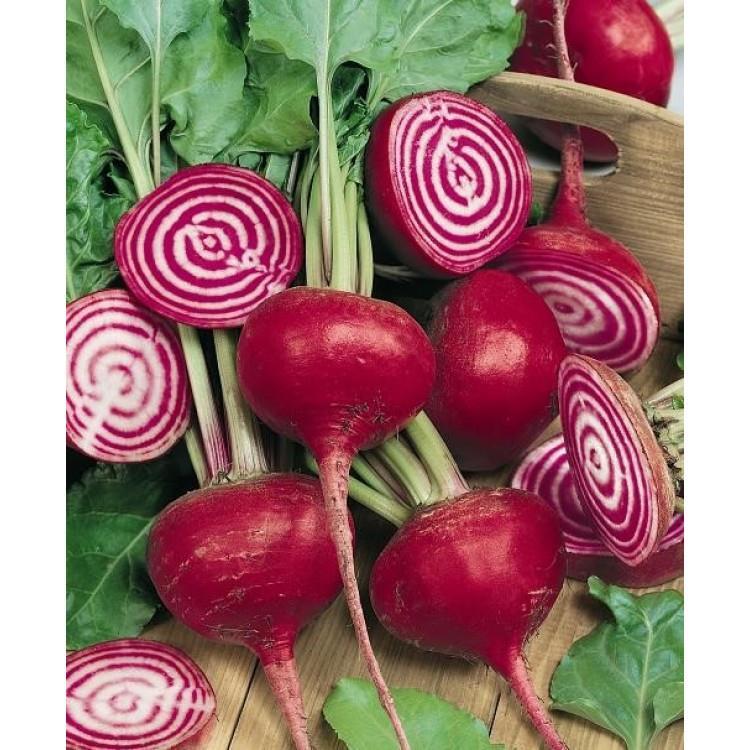 Italian Ringed Beetroot 200 Beetroot Bietola Di Chioggia Italian Seeds, SOW MARCH TO JULY, Fab ...