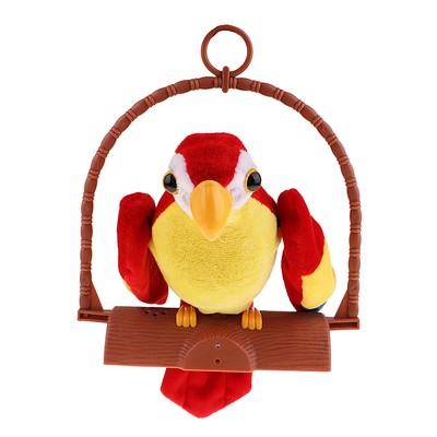 Cute Talking Talk Parrot Imitates & Repeats What You Say ...