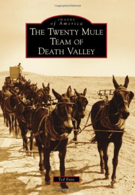 The Twenty Mule Team of Death Valley (Bilder von Amerika - Taschenbuch NEU Faye, Te