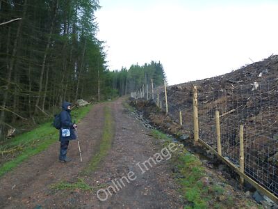 Foto 12x8 Baumfällungen und neue Zäune - Glentarken Wood St Fillans c2011