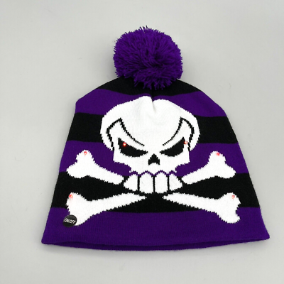 Skull & Crossbones LED Light Beanie Hat Purple Black Striped Pom
