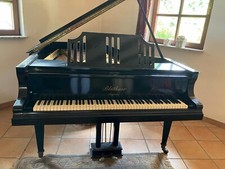Original Blüthner Flügel (Piano)