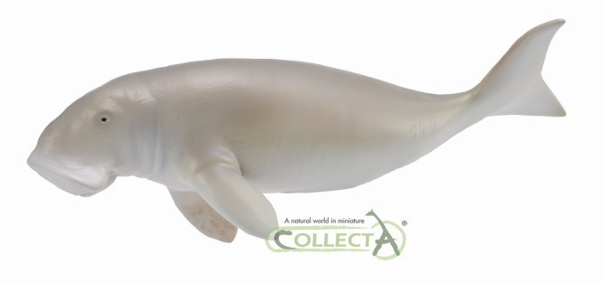 Collecta 88766 Manatee 14 Cm Water Animals