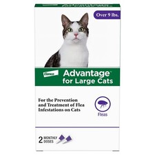 Bayer Advantage Spot-On Treatment - Pack of 2