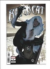 Black Cat # 2 1:50 Adam Hughes Variant NM Felicia Hardy Spider-Man Combined Ship