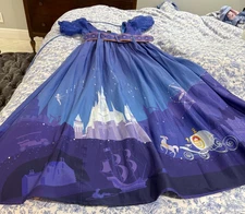 Disney Her Universe Cinderella Castle Dress by Ashley Taylor Blue Long M
