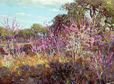 Julian Onderdonk Redbud Tree Bloom Leon Springs San Antonio Giclee Print Canvas