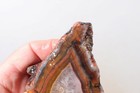 Argentine Condor Agate lapidary 7 oz. rough Lot Dc1 — photo 8