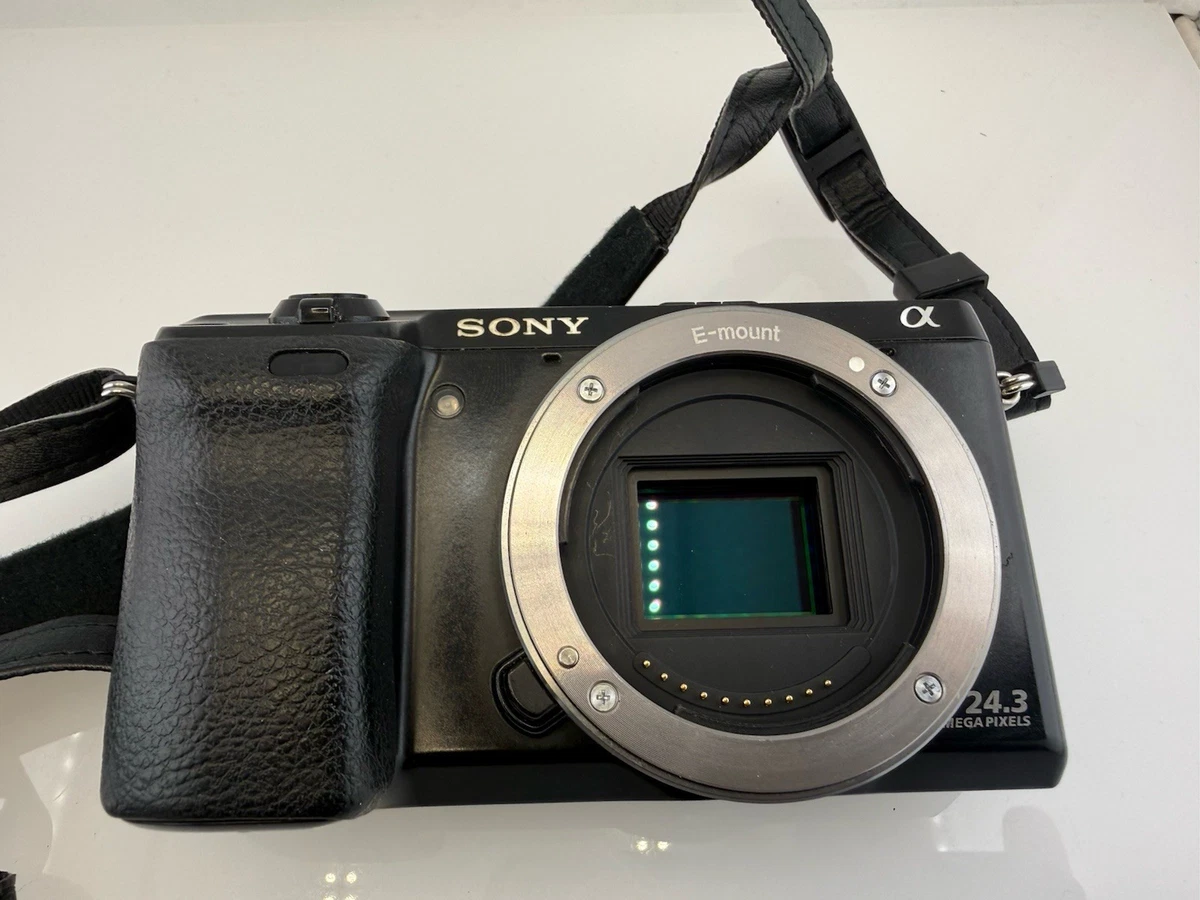 Sony Alpha Nex-7 Digital Cameras for Sale - Shop New & Used
