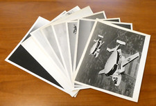 Lot of 8 Original Official US Navy 8x10 Type 1 Photos of Navy Aircrafts Jets