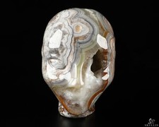 1.7" Crazy Lace Agate Fairy Elf Alien Crystal Skull Companion , Crystal Skul