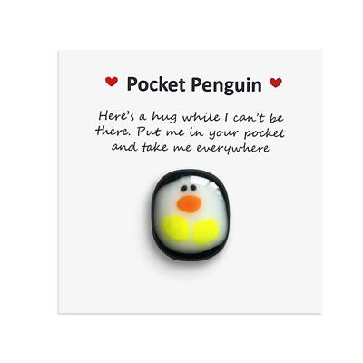 Pocket penguin, cute animal gift, thinking of you, hug, Fused letterbox de I9F4